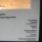 Saks Fifth Avenue Windows, NYC